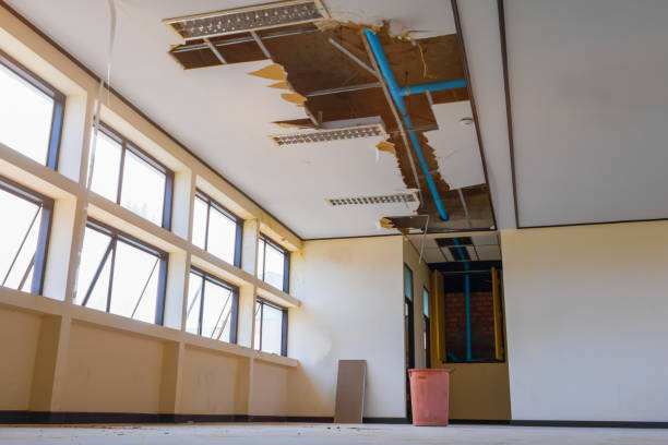 Best Professional water damage repair  in Claysburg, PA