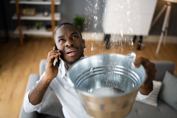Best Ceiling water damage repair  in Claysburg, PA
