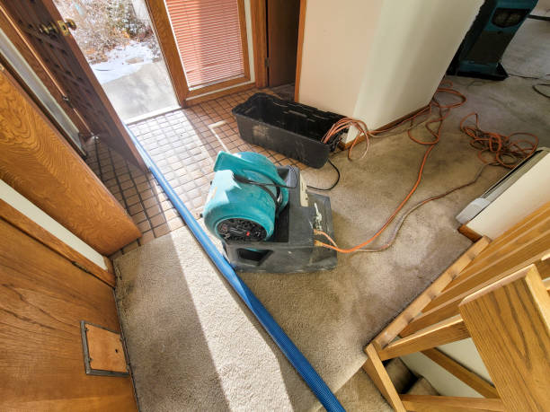 Best Commercial water damage restoration  in Claysburg, PA