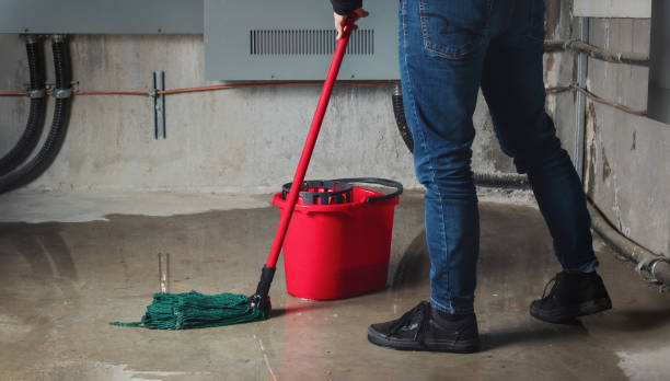 Best Sewage cleanup and water damage restoration  in Claysburg, PA
