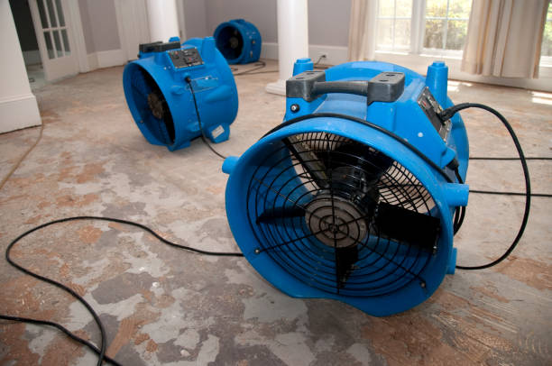 Best Water damage restoration company  in Claysburg, PA