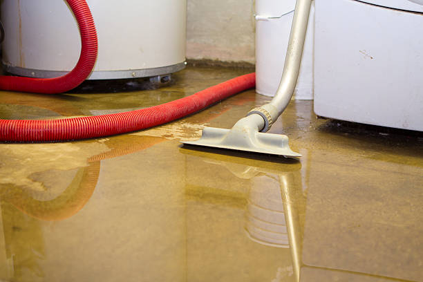 Best Water damage restoration specialists  in Claysburg, PA