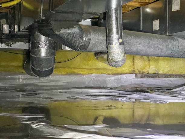 Best Basement water damage restoration  in Claysburg, PA