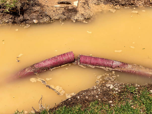 Water damage restoration mold remediation in Claysburg, PA