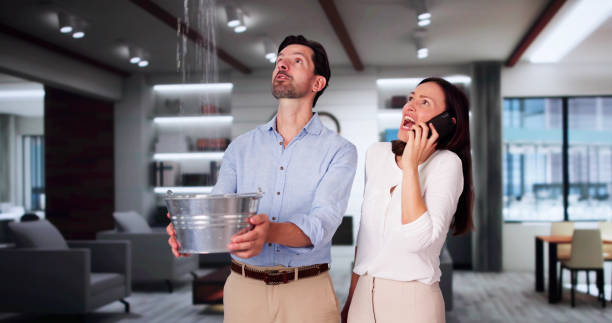 Best Water damage cleanup near me  in Claysburg, PA