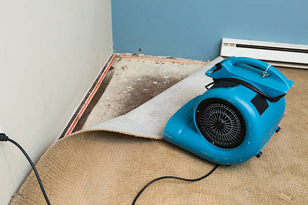 Best Basement water damage restoration  in Claysburg, PA